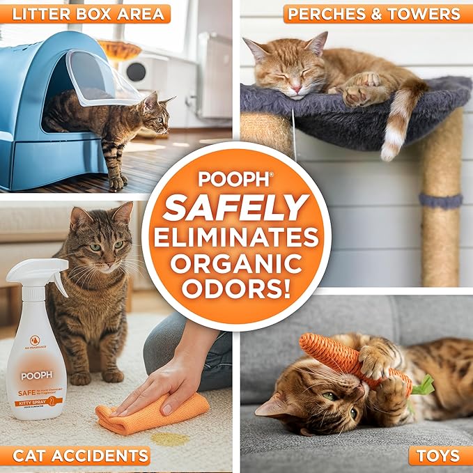 POOPH® Kitty Odor Eliminator Spray – 32oz Single & 32oz 2-Pack Bundle – Patented, Fragrance-Free, Non-Toxic, Safe for Cats – Use on Furniture, Litter Areas, Bedding & More