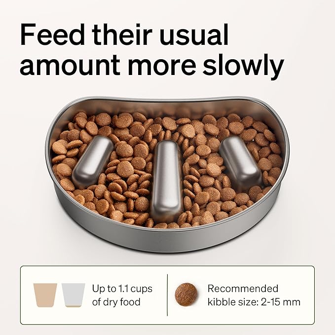 PETLIBRO Slow Feeder Bowl for Small Dogs & Cats, 1.125 Cup— Anti-Gulp Stainless Steel Dog & Cat Bowl, Helps Reduce Risk of Bloat, Dishwasher Safe — Compatible with PETLIBRO Camera Automatic Feeder
