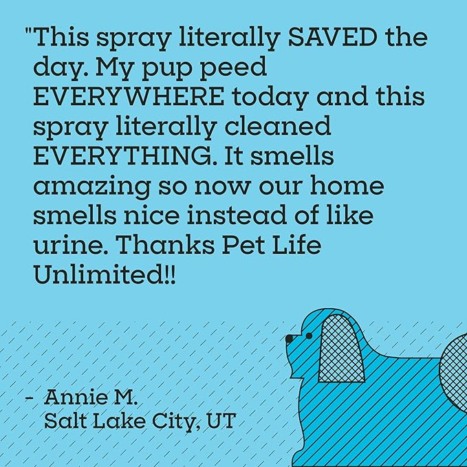 Pet Life Unlimited SuperFoam Spray, Carpet and Surface Cleaner for Dog Urine, 16 oz, Strong Odor & Stain Remover, Plant-Based Formula, Natural Juniper Leaf Scent, Two-Way Spray, USA Made (Pack of 1)