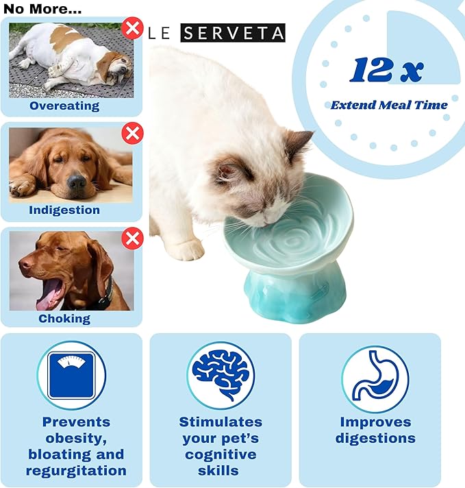 Elevated Ceramic Cat Bowl, Tilted Slow Feeder Pet Dish with Gradient Color Coating, 3.3 Ounces Capacity, Anti-Gulping Design with Rose Bouquet Design (Gradient Blue)