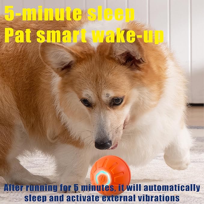 Interactive Self-Moving Pet Toy Ball - Motion-Activated Auto Rolling, Military-Grade Chew Resistant, USB-C Rechargeable for Small Dogs & Cats (Orange, Small) (Orange, Small)