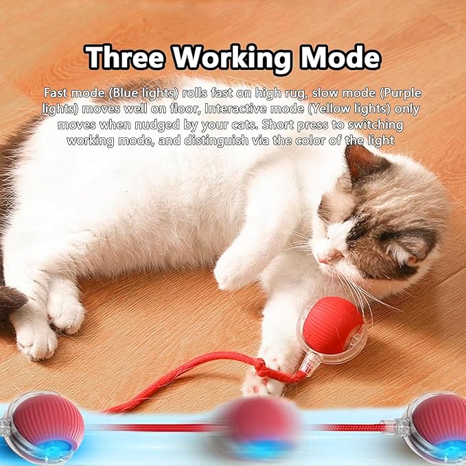 Interactive Pet Toy Ball, Interactive Cat Toys Ball for Indoor Cats Fast Rolling on Carpet, 360° Automatic Rolling BallToy for Dog/Cats