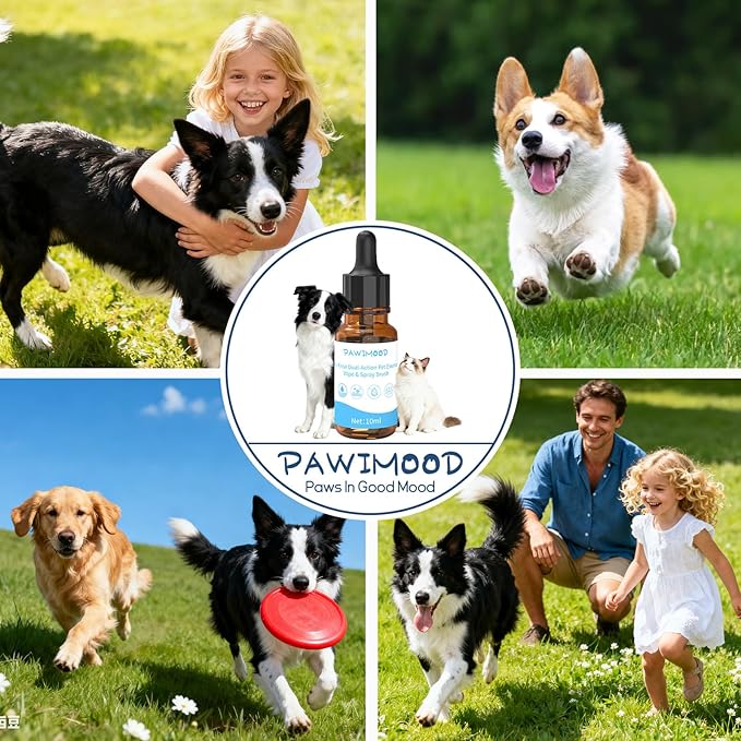 No-Rinse Pet Shampoo & Conditioner Essence for Cats | Includes Fine Mist Spray Bottle (60ml/2oz) to Nourish & Shine | Conditioning Formula Soothes Skin, Dilute Before Use,Pomegranate Scent,0.34oz*2