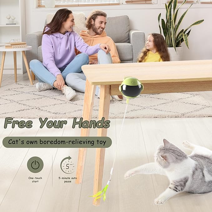 Interactive Cat Toys for Indoor Cats, Hanging Automatic Kitten Feather Toys Retractable Rope, Cat Toys for Bored Indoor Adult Cats with Feather & Fluff Ball & Tassel