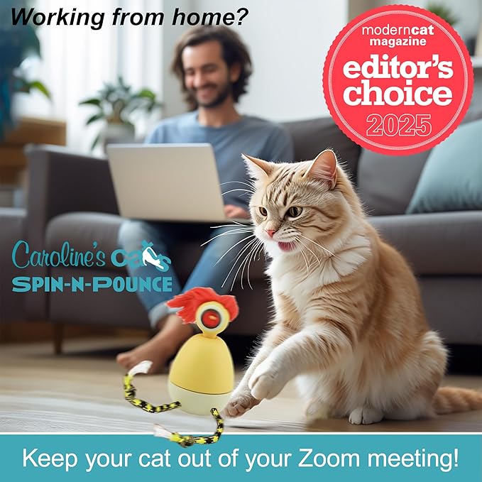 Caroline's Cats Automatic Cat Toy - Rechargeable Spin-N-Pounce with Touch Sensor, Silent Motor, 360-Degree Rotation, Interactive Kitten Toys for Indoor Cats, Encourages Self-Play and Exercise