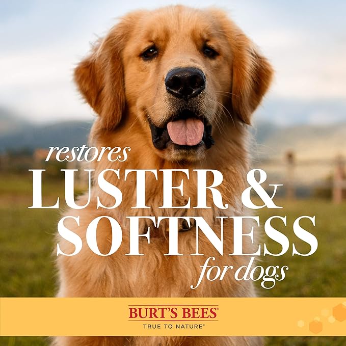 Burt's Bees for Pets Double Sided Pin & Hemp Bristle Dog Brush | Best All-Purpose Dog Brush To Reduce Shedding Great for All Small Dogs And Puppies (Pack of 24)