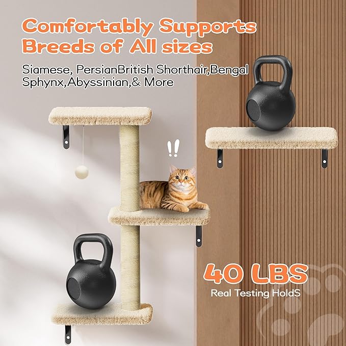 6-in-1 Wall Mounted Cat Climber Set for Heavy Cats,Wall Shelves,Stable & Safe Cat Furniture Set for Large Cats, Wooden Climbing Wall with Scratching Post (White)