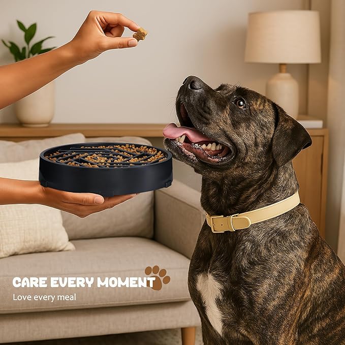 WHIPPY Slow Feeder Dog Bowl, Puzzle Maze Design to Slow Down Eating, 3-Cup Capacity, Anti-Gulping Food Bowl for Medium & Large Dogs,Green