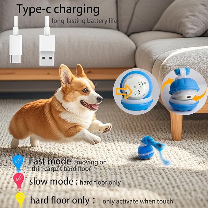 KumCinn Power Tail 2.0 Automatic Moving Dog Ball - Interactive Dog Toy | Self-Rolling, Motion Activated Electric Pet Ball to Keep Dogs Busy & Relieve Boredom (Suitable for All Dog Breeds)
