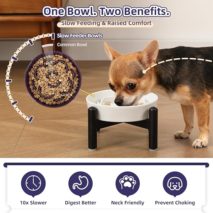 Elevated Slow Feeder Dog Bowl - Ceramic Maze Dog Food Bowl with Stainless Stand - Raised Slow Feeder for Small Breeds to Control Eating Speed - 6.3 Inch - 0.8 Cups (80g) - Orange