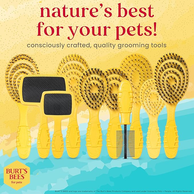 Burt’s Bees for Pets Porcupine Bristle Brush for Large Dogs with Handle Made from Recycled Plastics Collected from Coastal Communities - Flex-head Grooming Brush