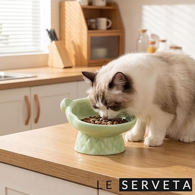Winnie The Pooh Series Ceramic Slow Feeder Cat Bowl, Raised Anti-Gulping Design with Bear Ears, Pastel Colors, Quilted Pattern Base (Green)