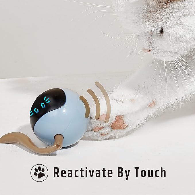 FOFOS Cat Toys 360°Self Rolling Ball Toy Interactive Toys Cat Wand Teaser Toys USB Charging Hunting Exercise Toys Indoor Gifts for Kitten/Puppy/Small Dogs (Blue)