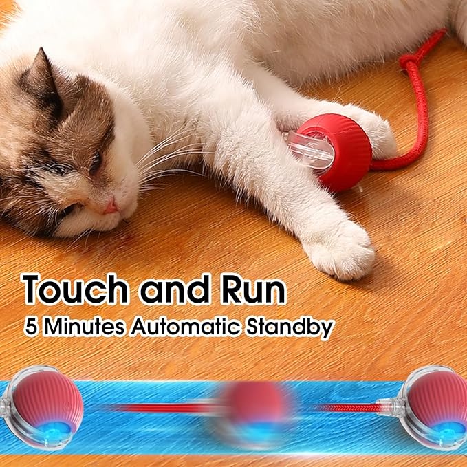 Interactive Cat Toys Ball,Movable Cat Toys, Smart 360° Automatic Rolling Pet Ball, USB Rechargeable, Ideal Pet Gift, Relieves Boredom for Indoor Cats