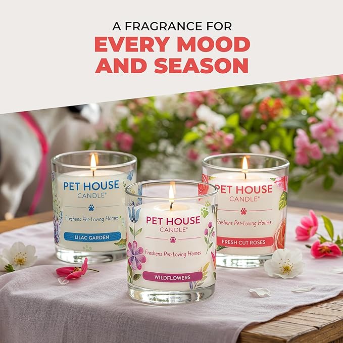 One Fur All Pet House Candle 2 Pack - Plant-Based/Soy- Clean Burning Scented, Long Lasting Pet Odor Candle for Home - Hollyberry