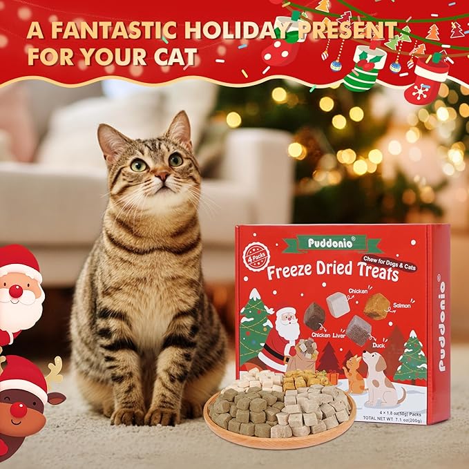 Freeze Dried Cats & Dogs Treats - 4 Single-Ingredient Raw Flavors (Chicken/Duck/Salmon/Liver), 50g x 4 Bags, All Natural High Protein Pet Training Treats