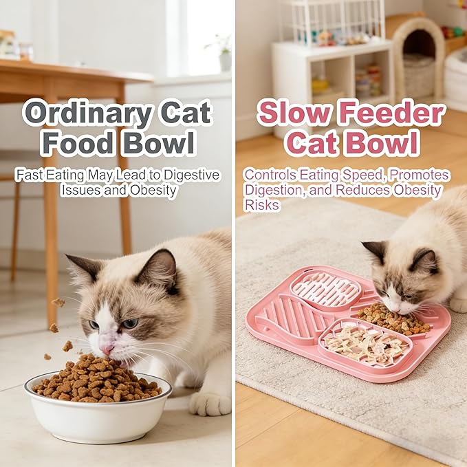 AZY 3-Piece Slow Feeder cat Bowl and Lick Mat Set – Silicone Cat Treat Spoon, Feeding Mat for Wet Food, Enrichment and Slow Eating