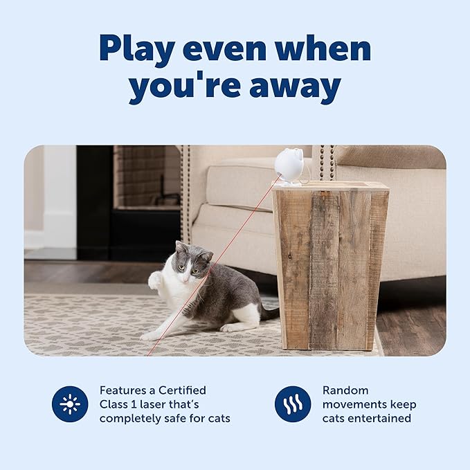 PetSafe Dancing Dot Laser Cat Toy - Encourages Exercise & Mental Stimulation - Random Laser Patterns - Battery Operated - Safe for Cats - Award-Winning - Compact Design
