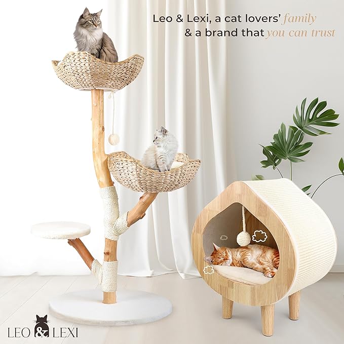 Unique Modern Cat Bed for Indoor Cats, House with Scratching Wall, Cozy Cave for Hideout, Cute Kitty Condo for Sleeping, Luxury Cat Beds & Furniture