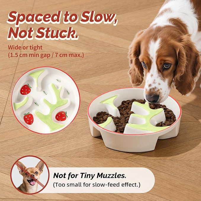 Ceramic Slow Feeder Dog Bowl - Portion Control Feeding Bowl for Medium Dogs – Cute Maze Food Dish for Fast Eaters - 3.1 Cups (310 g) - Doodle Series (Petal)