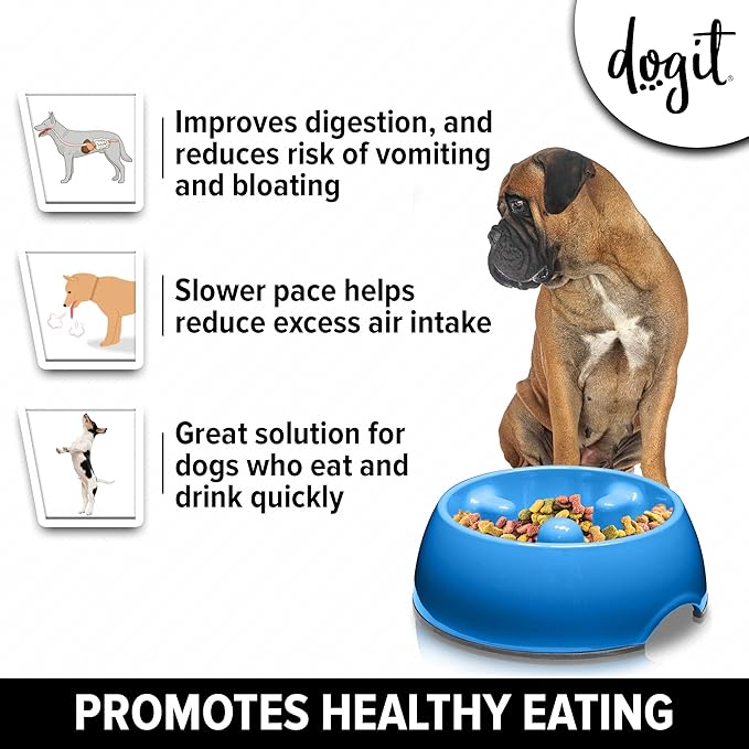 Dogit Dog Bowl Slow Feeder for Wet or Dry Dog Food, Go Slow Anti-Gulping Dog Dish, Blue, M