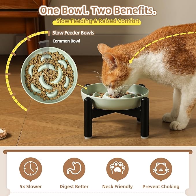 Elevated Slow Feeder Cat Bowl - Melamine Cat Food Plate with Anti-Slip Metal Stand - Raised Maze Dish for Slow Eating - Mint Green