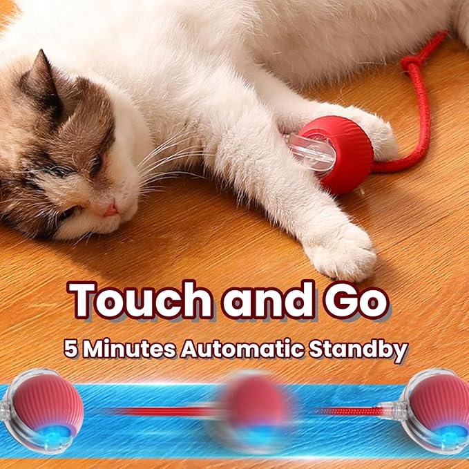 Interactive Cat Toy Balls, Upgraded Cat Toys for Indoor Cats, Smart Self Rolling Interactive Cat Dog Ball, Automatic Moving Peppy Pet Ball for Bored Indoor Adult Cats Kitten Specification(3 Pcs)