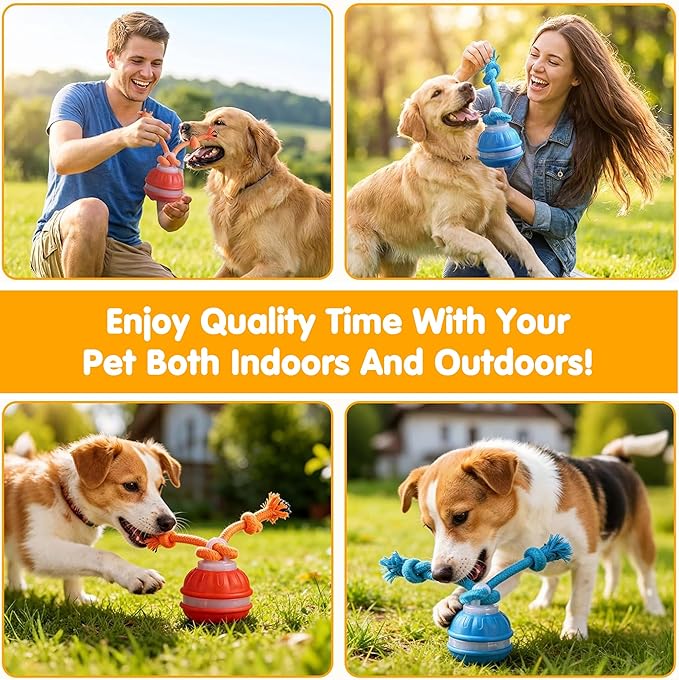 Interactive Dog Toys,Dog Ball Toy with Squeaky Birdsong Sound and Stimulation,Automatic Motion Activated Dog Toy for Boredom,Indoor Outdoor Pet Exercise Toy for Small/Medium Dogs(Blue)