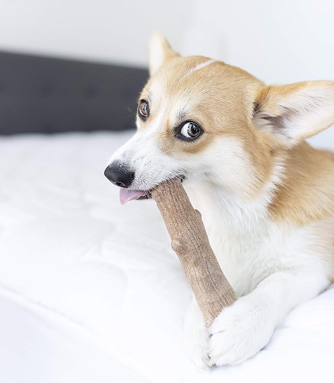 Pupstages Dogwood Dog Chew Toy – Real-Wood Blend, Natural Flavor & Texture, Moderate Chewers, Medium, 7.4"