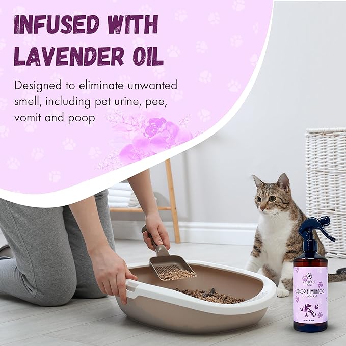 Pet Odor Eliminator Spray with Lavender Fragrance - Smelly Odor Remover & Deodorizer - Dog & Cat Stain Cleaner for Carpet, Bathroom, Car, Home & Office - 600ml