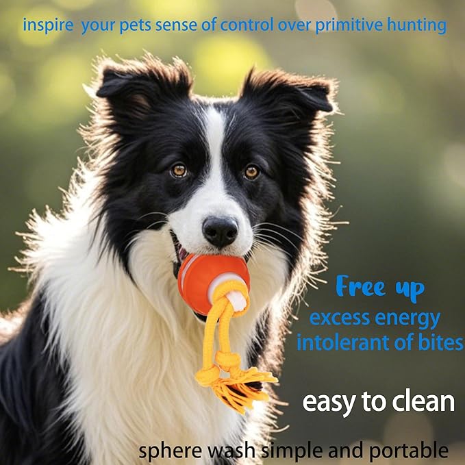 KumCinn Power Tail 2.0 Automatic Moving Dog Ball - Interactive Dog Toy | Self-Rolling, Motion Activated Electric Pet Ball to Keep Dogs Busy & Relieve Boredom (Suitable for All Dog Breeds)