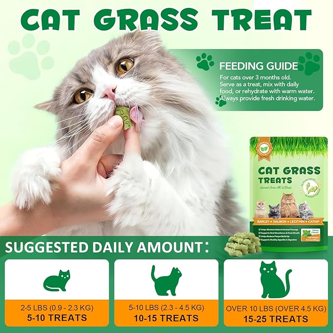 180g/6.4oz Cat Grass Dental Treats for Hairball Control, Natural Teeth Cleaning & Fresh Breath, Crunchy Catnip Flavored Biscuits with Barley Grass, Cat Training Rewards for All Breeds