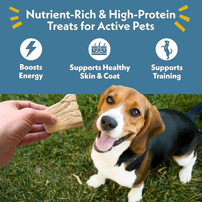 Fresh Is Best Salmon Fillets Freeze Dried Dog Treats – Raw Freeze Dried Fish for Cats & Canines in Resealable Zipper Bag – High-Protein Salmon Dog Treats – Made in the USA