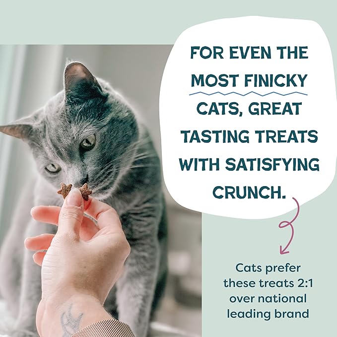 Shameless Pets Crunchy Cat, Natural Kitty Treats for Cats with Digestive Support with Real Chicken, Healthy Flavored Feline Snacks - Cran You Say Chicken (Pack of 2)