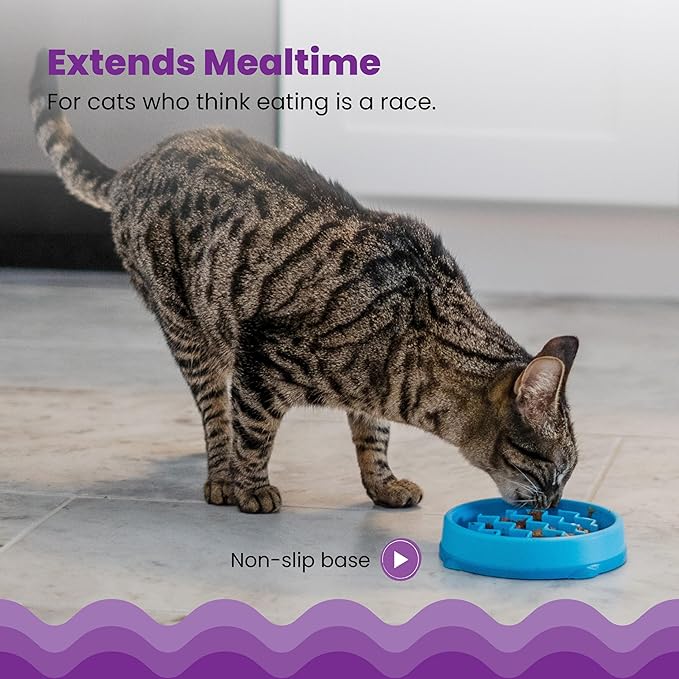 Catstages Kitty Slow Feeder Bowl for Cats & Small Dogs, Puzzle Dish for Fast Eaters, for Wet or Dry Food, Helps Slow Eating & Aid Digestion, Non-Slip, Made Without BPA, 3/4 Cup, 5-Inch, Blue