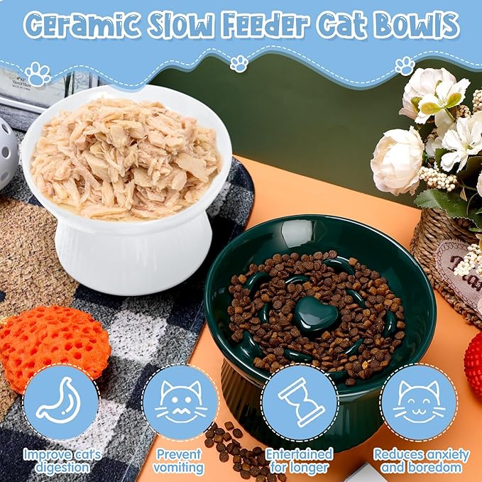 Tioncy 2 Pcs Raised Cat Slow Feeder Bowl Ceramic Elevated Cat Dog Food Bowl No Spill High Edge for Dry Wet Food and Water Easy to Clean, Dishwasher Safe (Dark Green,White)