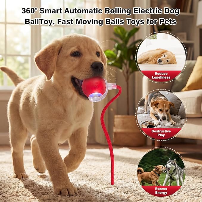ZUAMEGUPetToy, Interactive Cat & Dog Ball Toy with Bird Sounds, Rechargeable 360° Smart Auto-Rolling Electric Pet Ball Toy (with Leash), Suitable for Indoor & Outdoor Use (Red)
