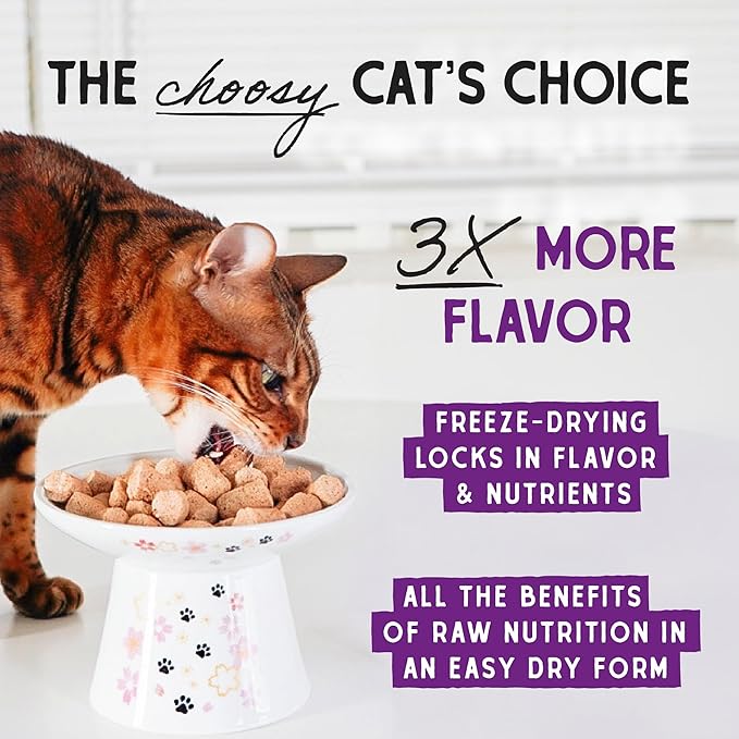 Stella & Chewy's Freeze-Dried Raw Cat Dinner Morsels - Premium Chicken Recipe with 98% Cage-Free Meat & Organs - Natural Grain-Free Cat & Kitten Food - Made in USA - 1 oz (Pack of 6)