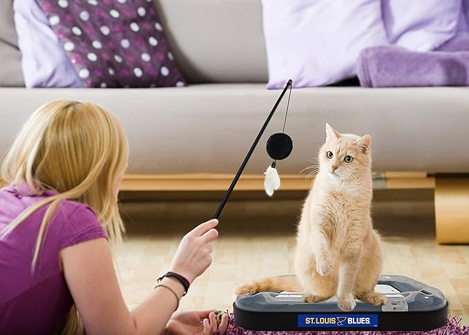 Pets FIrst Cat Scratching Toy NHL St. Louis Blues Hockey Field Cat-Scratcher Toy with Interactive Ball Bell in Tracks. 5-in-1 Kitten Toy