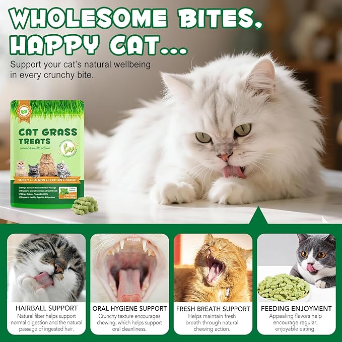 180g/6.4oz Cat Grass Dental Treats for Hairball Control, Natural Teeth Cleaning & Fresh Breath, Crunchy Catnip Flavored Biscuits with Barley Grass, Cat Training Rewards for All Breeds