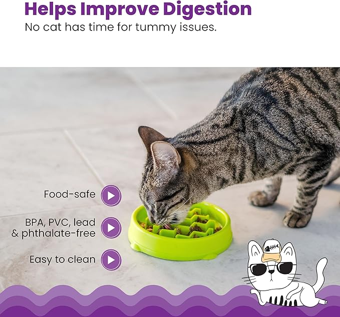 Catstages Kitty Slow Feeder Bowl for Cats & Small Dogs, Puzzle Dish for Fast Eaters, for Wet or Dry Food, Helps Slow Eating & Aid Digestion, Non-Slip, Made Without BPA, 3/4 Cup, 5-Inch, Green