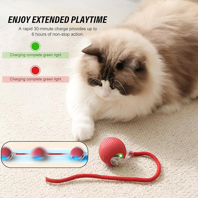 Aero Zen Indoor Cat Interactive Toy Ball Version 2025 - Random Rolling,Flashing on Floor,360° Automatic Rolling Ball Toy for Dogs/Cats (Red)