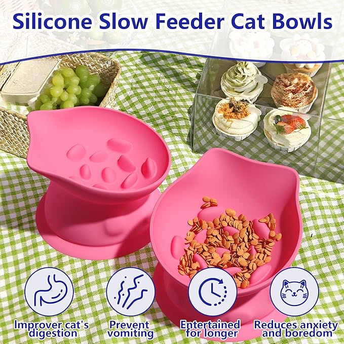 Slow Feed Cat Bowl, Elevated Cat Food Dish with Tilted Design, Dual-Use for Dry and Wet Food, Anti-Vomit, Anti-Choking, Easy to Clean