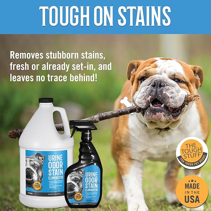Arkwright Tough Stuff Urine Odor & Stain Eliminator Spray - Pet Safe Enzyme-Based Non-Toxic Cleaner for Floors, Carpets, and Furniture, 32 Fl. Oz. Spray Bottle, Fresh Scent