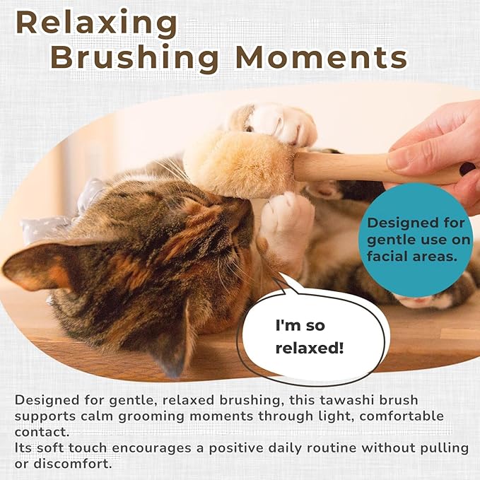 Cat Brush for Indoor Cats – Soft Gentle Natural Sisal Cat Grooming Brush & Cat Massage Brush, Collects Loose Surface Fur (Not a Heavy Deshedding Tool), Handmade in Japan (Type-B)