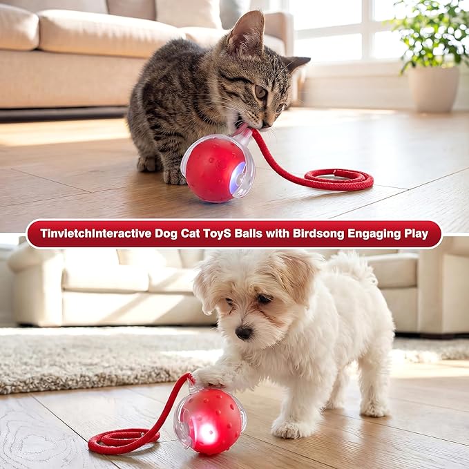 ZUAMEGUPetToy, Interactive Cat & Dog Ball Toy with Bird Sounds, Rechargeable 360° Smart Auto-Rolling Electric Pet Ball Toy (with Leash), Suitable for Indoor & Outdoor Use (Red)