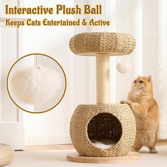 30" Modern Cat Tree Tower for Indoor Cats, Aesthetic Rattan Cat Furniture with Handwoven Wicker Cat Bed Cave, Ultra-Soft & Washable Cushions, Natural Sisal Scratching Post and Solid Wood Base