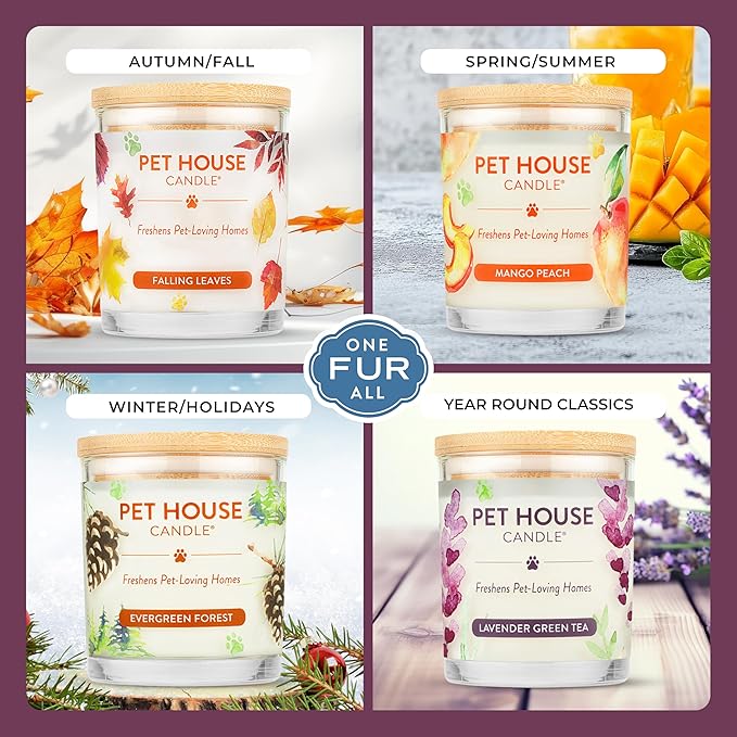 One Fur All Pet Candle 9 OZ Plant-Based Spring Candle with a 60 Hour Burn Time - BlackBerry Tea