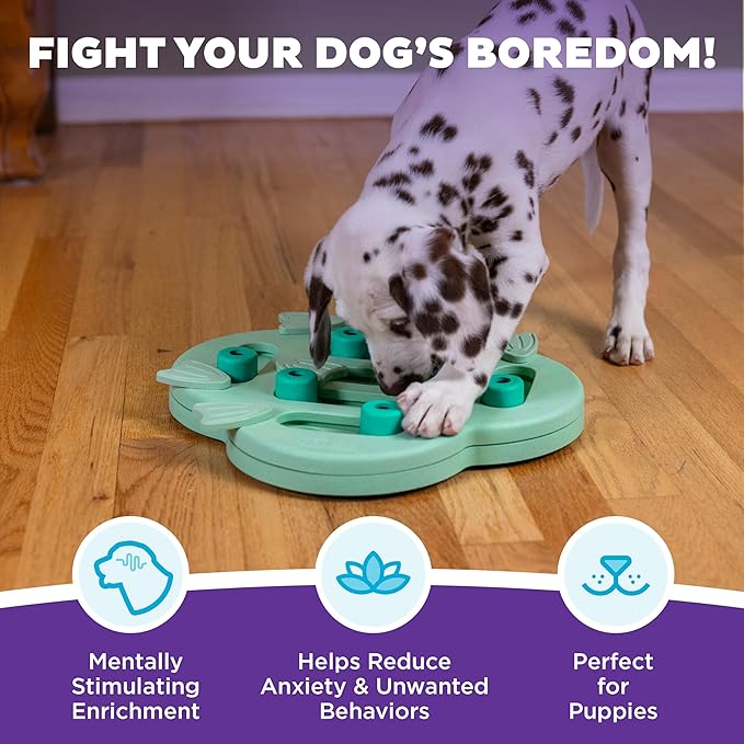 Outward Hound by Nina Ottosson Puppy Hide N' Slide Treat Puzzle Enrichment Dog Toy, Green