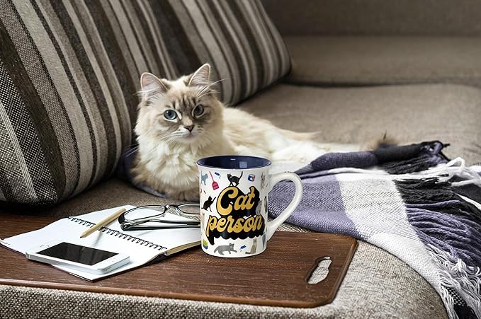 Enesco Our Name is Mud Pets Cat Person Start Talking Warning Coffee Mug, 16 Ounce, Multicolor